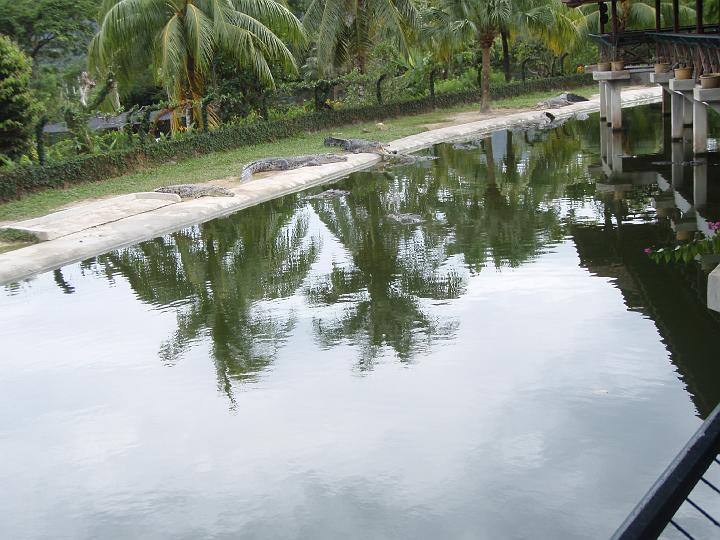 Anaconda hp 062.jpg